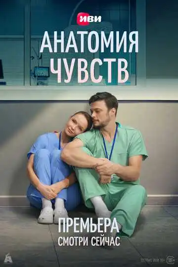 Постер сериалa Анатомия чувств